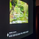 비트빌 | 250410) 더현대 서울 ALT.1 &lt;우스터미술관 소장품 展&gt; 인상파, 모네에서 미국으로: 빛, 바다를 건너다 후기