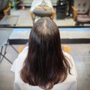 2207 | 대전 뒷머리 갈라짐 해결하려다 수원까지 온 이유 (모류교정 링거펌 후기)