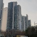 남양주도곡초등학교 이미지