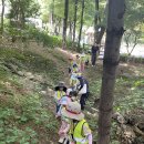 [7월 3주] 숲활동🌳& 물고기 만들기🐟 & 썬 캐쳐☂️ & 독서왕👑 이미지