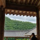 🌿 안동 병산서원 방문 후기: 아름답다.