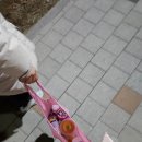 더스콘대구