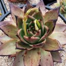 나의 창 이미지