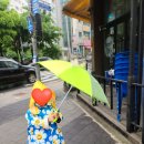 ㈜경남석유 갤러리아 | 아동 레인부츠 추천 가벼운 보그스 스키퍼 내돈내산 사이즈 팁 솔직 후기