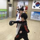 용인대 금메달 태권도장 이미지