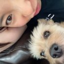 멍굴멍굴 이미지