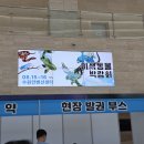성체유치원 | 2026 이색동물 박람회 후기💚 수원컨벤션센터 광교! 파충류 박람회,앵무새,물고기 부스까지♡