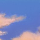 골드스시