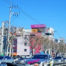 수성동대구피부과의원 이미지