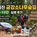 옥류천이야기길(소나무숲길) | [금강소나무숲길]울진 1-1구간 실제 후기｜국가숲길·보부상길 11.3km·숲밥·화장실