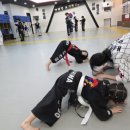 합기도 전문 수련관 이미지