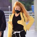 제니포인트 마이데일리