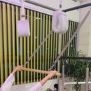 라이프 발란서 이미지