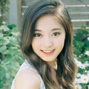 동영사 이미지