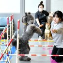 미래엔에듀케어성동센터