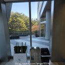 경주축협동물병원 | 경주 애견동반숙소 키녹 숙박후기