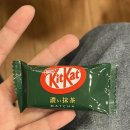 디오디션 | 투게더!