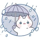 호우주의보(RAINREPORT) 이미지