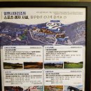 알펜시아당구장 이미지