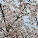 부경대학교(대연캠퍼스) 이미지