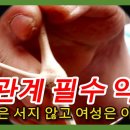 우슬과 산부추의 효능 이미지