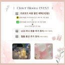 감동 보장하는 대전 호텔 프로포즈 클로버블룸