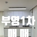 부영베스트공인중개사사무소 이미지