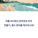 몽산포해넘이 | 강아지와 함께하는 해변 여행, 준비물 체크리스트는?