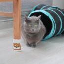 (주)캐리어에어 이미지