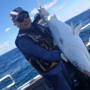 복사초등학교 이미지