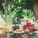 마리의 정원 이미지