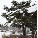 문무펜션 이미지