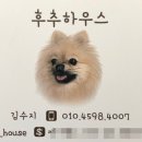 유성애견호텔 이미지