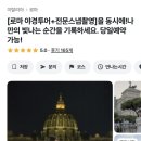 혼자 여행 필수인 로마 야경투어 소아베투어 스냅 후기