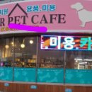 멍이펫 이미지