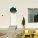 맑은샘길(천리동,운흥동) | 안동시 애견동반숙소 TOP 3 봄철 강아지 여행 비교 후기 많은 곳