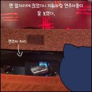 이미지킹 | 런던 라이온킹 뮤지컬 후기｜단돈 6만원으로 맨앞자리 앉은 방법