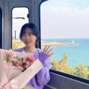 [해운대스카이캡슐열차]미포출발 청사포 도착 코스 추천!(+부산데이트 ,아이들과 가볼만한곳,부산여행코스)