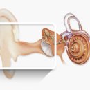 조은소리보청기서울지사 이미지