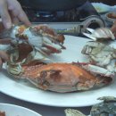 대천항수산시장 이미지