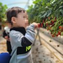 예인농장 이미지