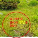 부산 대정 공원묘원 이미지