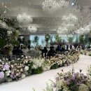 호텔베르 | 💒❤️더베르G(더베르지) 웨딩홀 견적공유(💍26년하반기) + 실제 방문 후기 총정리