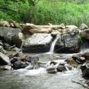 보리수 산장 이미지