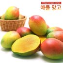 그린존 코리아 이미지
