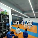 분당화랑 유도&주짓수 이미지