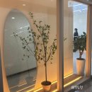 주희미용실 - 양주시 가래비8길 17 | 봉담2지구미용실 여성 레이어드컷 잘하는곳, 엘룸헤어 주희디자이너 후기