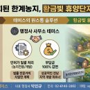 정비사업 행정법률 사무소 티스토리