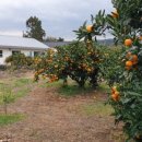 화랑펜션 이미지