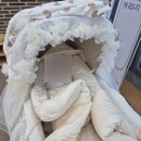 공공용 10 | 경기 포천공공산후조리원 2주 이용 후기